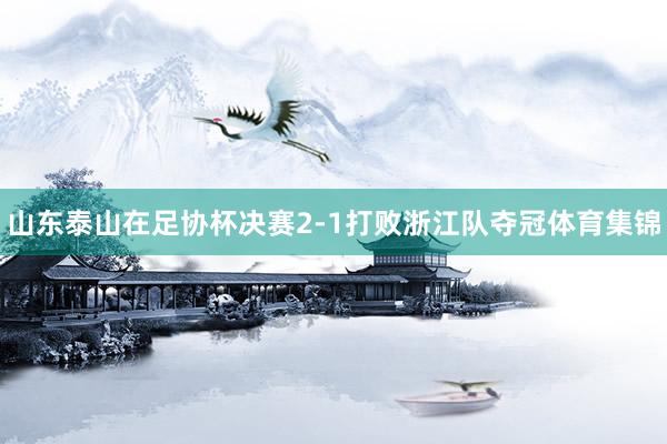 山东泰山在足协杯决赛2-1打败浙江队夺冠体育集锦