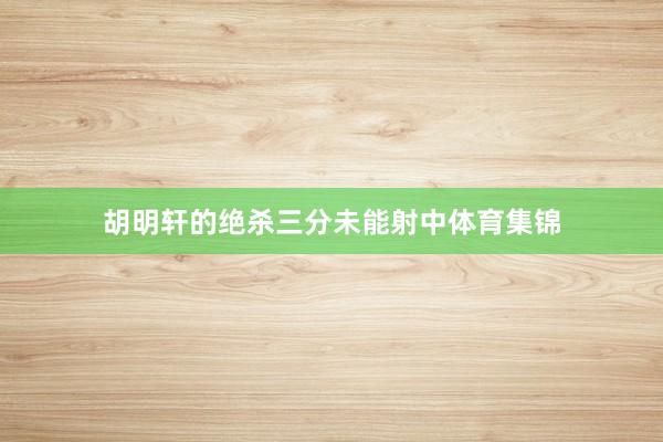 胡明轩的绝杀三分未能射中体育集锦