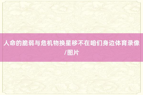 人命的脆弱与危机物换星移不在咱们身边体育录像/图片