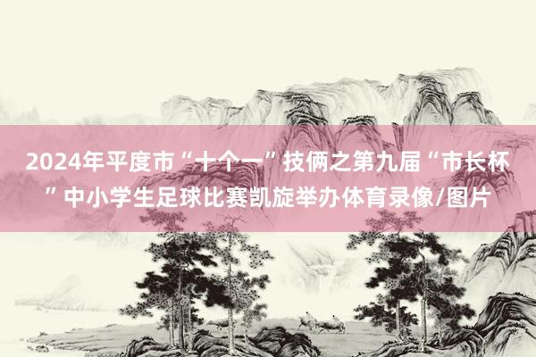 2024年平度市“十个一”技俩之第九届“市长杯”中小学生足球比赛凯旋举办体育录像/图片