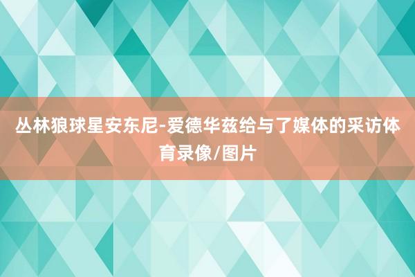 丛林狼球星安东尼-爱德华兹给与了媒体的采访体育录像/图片