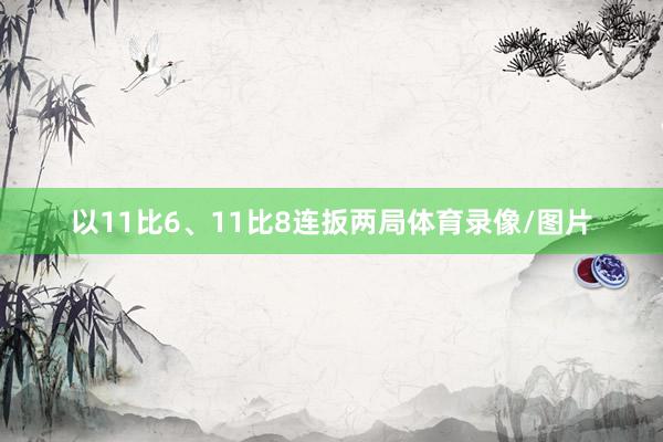 以11比6、11比8连扳两局体育录像/图片