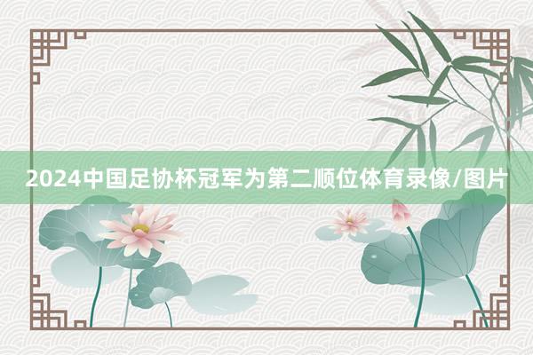 2024中国足协杯冠军为第二顺位体育录像/图片