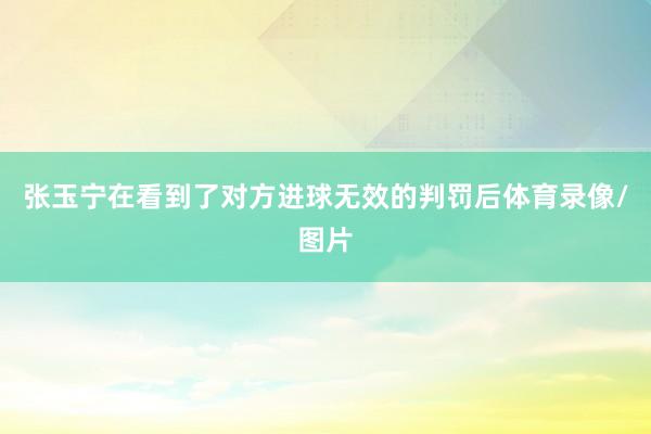 张玉宁在看到了对方进球无效的判罚后体育录像/图片