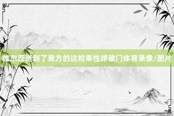 维尔茨道到了我方的这粒率性球破门体育录像/图片