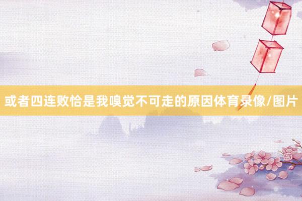 或者四连败恰是我嗅觉不可走的原因体育录像/图片