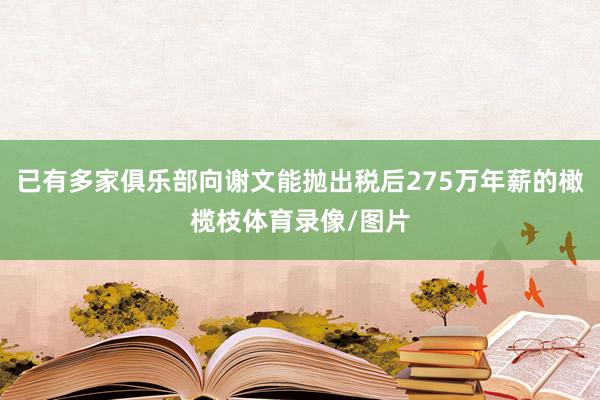 已有多家俱乐部向谢文能抛出税后275万年薪的橄榄枝体育录像/图片