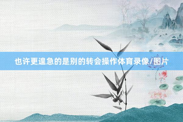 也许更遑急的是别的转会操作体育录像/图片