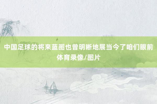 中国足球的将来蓝图也曾明晰地展当今了咱们眼前体育录像/图片