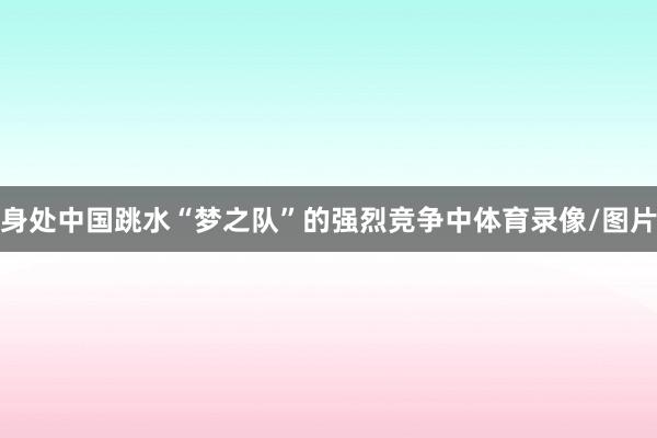 身处中国跳水“梦之队”的强烈竞争中体育录像/图片