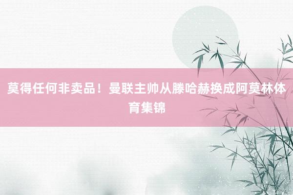 莫得任何非卖品！曼联主帅从滕哈赫换成阿莫林体育集锦