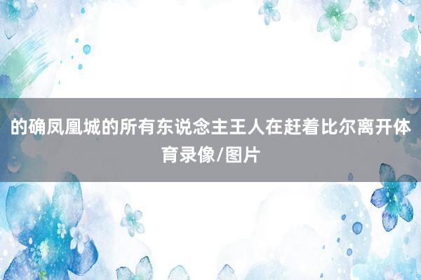 的确凤凰城的所有东说念主王人在赶着比尔离开体育录像/图片
