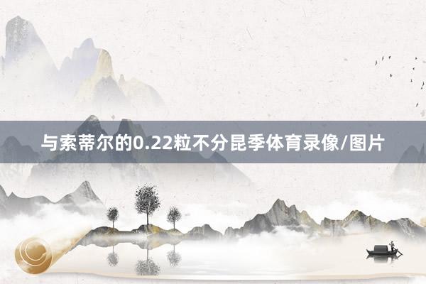 与索蒂尔的0.22粒不分昆季体育录像/图片