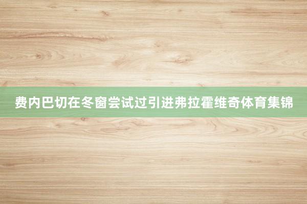 费内巴切在冬窗尝试过引进弗拉霍维奇体育集锦