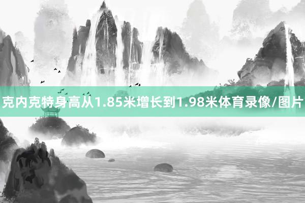 克内克特身高从1.85米增长到1.98米体育录像/图片