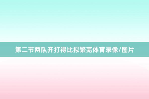 第二节两队齐打得比拟繁芜体育录像/图片