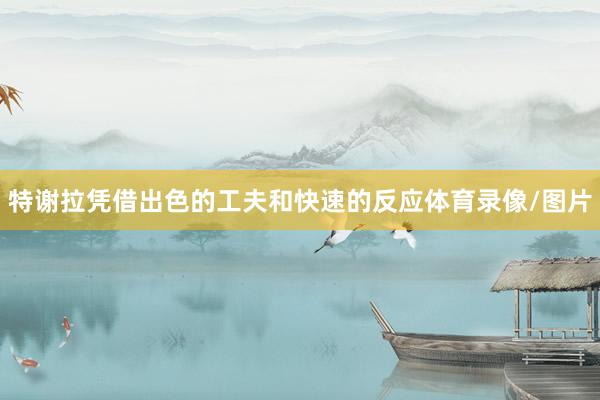 特谢拉凭借出色的工夫和快速的反应体育录像/图片