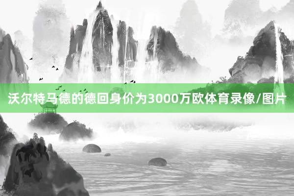 沃尔特马德的德回身价为3000万欧体育录像/图片