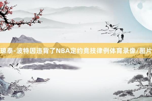 琼泰-波特因违背了NBA定约竞技律例体育录像/图片