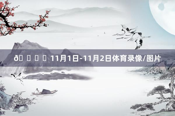 🏎️11月1日-11月2日体育录像/图片