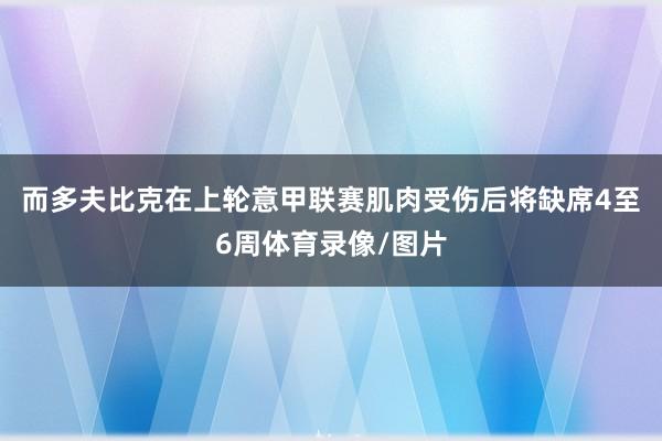 而多夫比克在上轮意甲联赛肌肉受伤后将缺席4至6周体育录像/图片