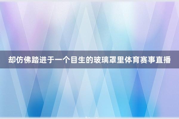 却仿佛踏进于一个目生的玻璃罩里体育赛事直播