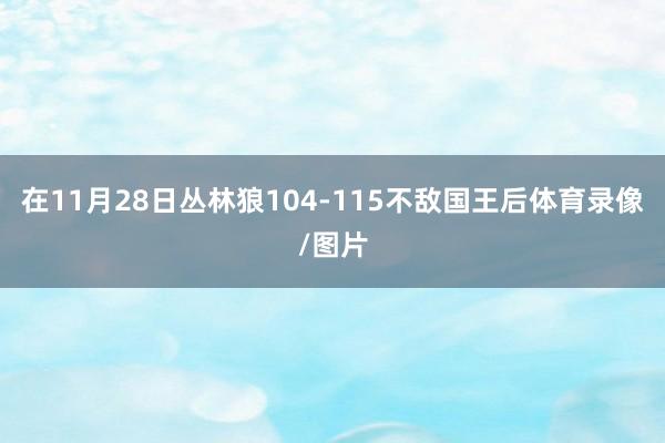 在11月28日丛林狼104-115不敌国王后体育录像/图片