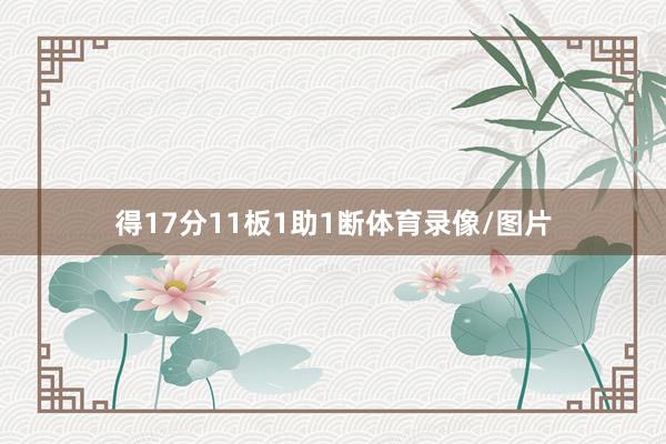 得17分11板1助1断体育录像/图片