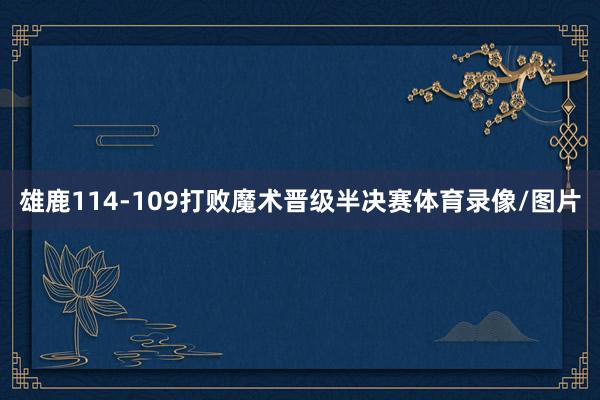 雄鹿114-109打败魔术晋级半决赛体育录像/图片