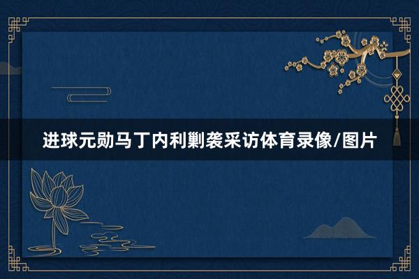 进球元勋马丁内利剿袭采访体育录像/图片