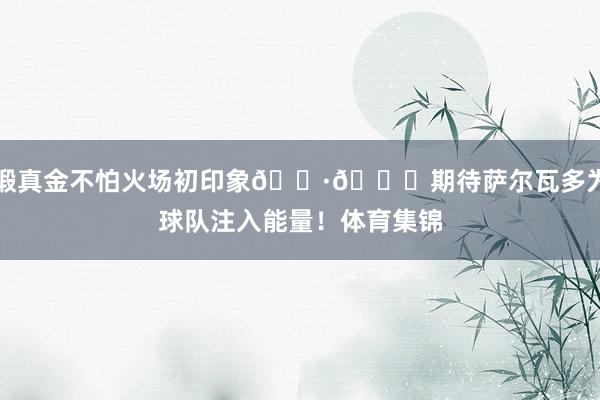 锻真金不怕火场初印象📷😍期待萨尔瓦多为球队注入能量！体育集锦