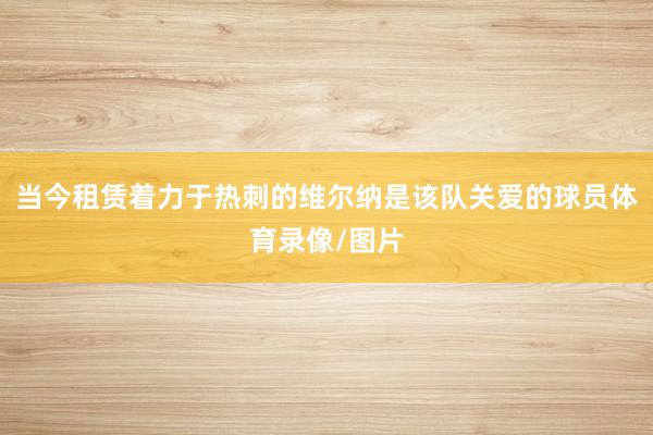 当今租赁着力于热刺的维尔纳是该队关爱的球员体育录像/图片