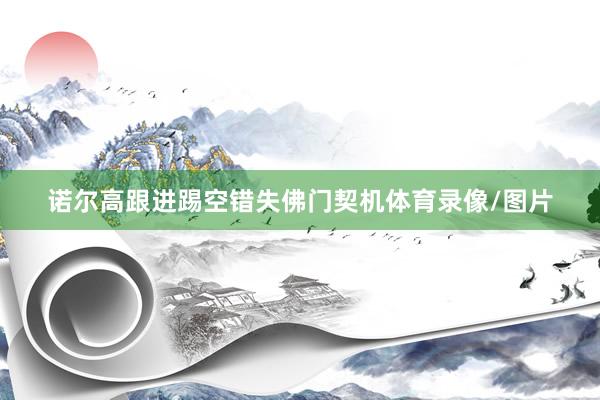 诺尔高跟进踢空错失佛门契机体育录像/图片