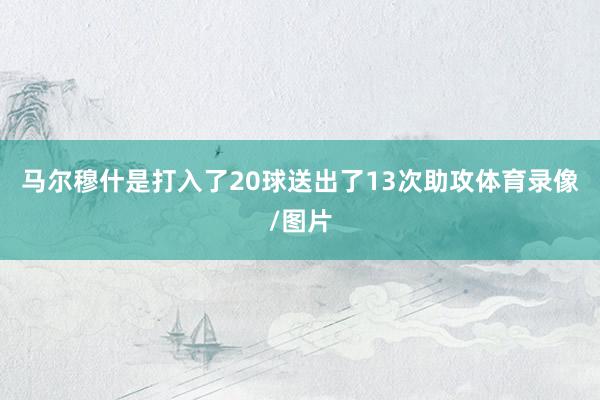 马尔穆什是打入了20球送出了13次助攻体育录像/图片