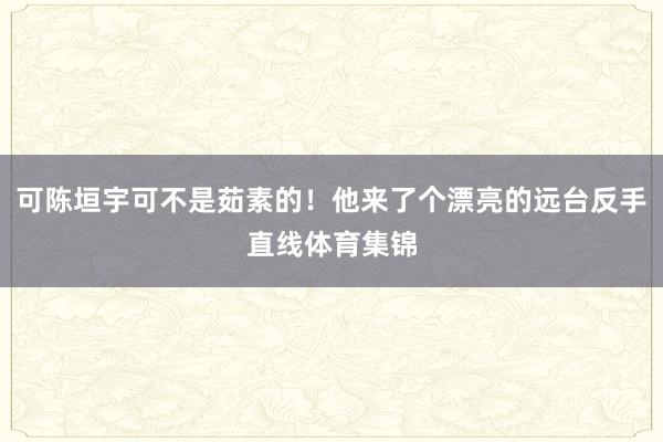 可陈垣宇可不是茹素的！他来了个漂亮的远台反手直线体育集锦