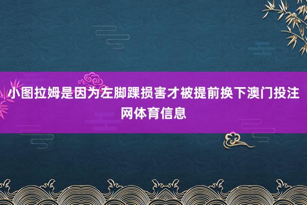 小图拉姆是因为左脚踝损害才被提前换下澳门投注网体育信息
