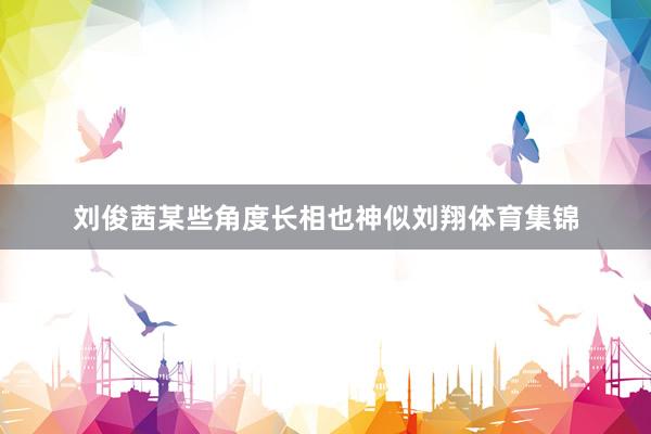 刘俊茜某些角度长相也神似刘翔体育集锦