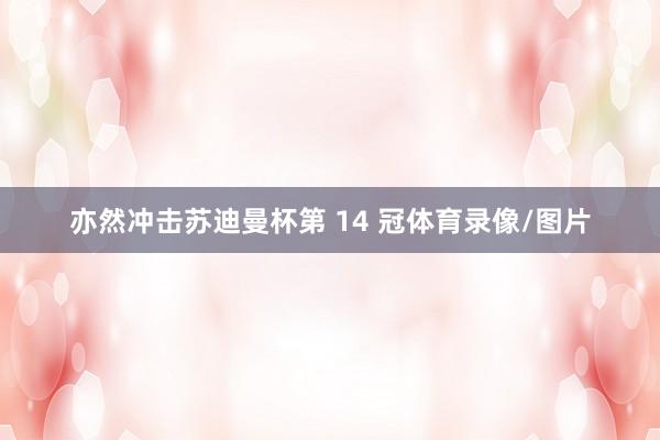 亦然冲击苏迪曼杯第 14 冠体育录像/图片
