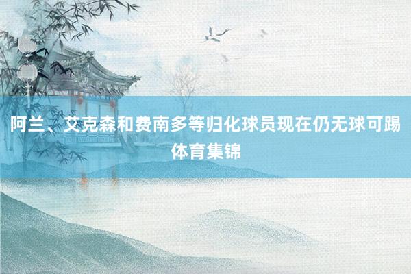 阿兰、艾克森和费南多等归化球员现在仍无球可踢体育集锦