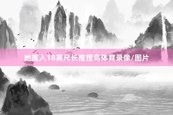 她推入18英尺长推捏鸟体育录像/图片