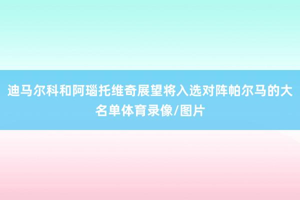 迪马尔科和阿瑙托维奇展望将入选对阵帕尔马的大名单体育录像/图片