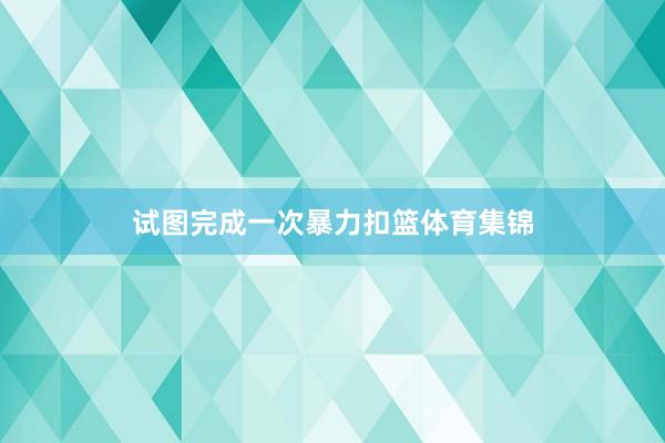 试图完成一次暴力扣篮体育集锦