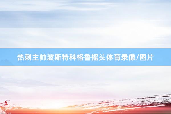 热刺主帅波斯特科格鲁摇头体育录像/图片
