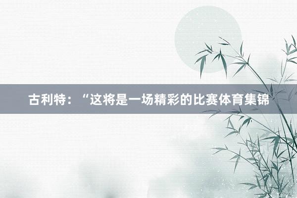 古利特：“这将是一场精彩的比赛体育集锦
