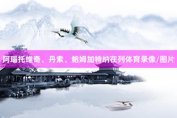 阿瑙托维奇、丹索、鲍姆加特纳在列体育录像/图片