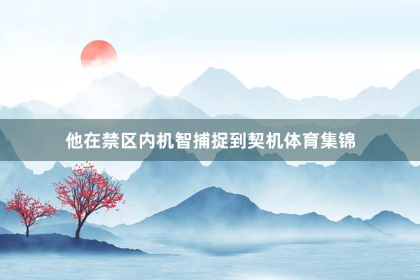 他在禁区内机智捕捉到契机体育集锦