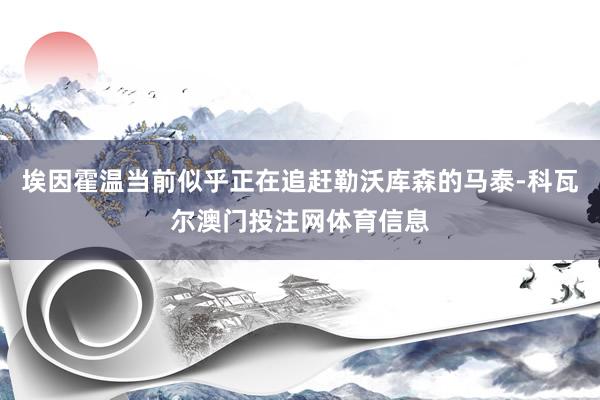 埃因霍温当前似乎正在追赶勒沃库森的马泰-科瓦尔澳门投注网体育信息