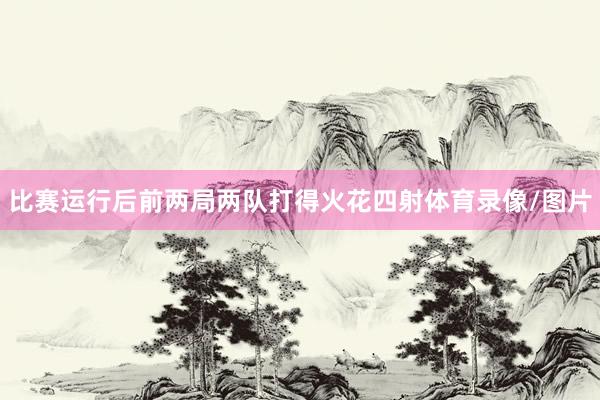 比赛运行后前两局两队打得火花四射体育录像/图片