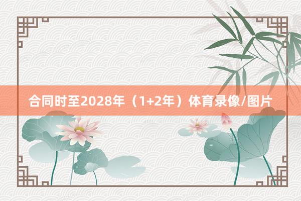 合同时至2028年（1+2年）体育录像/图片