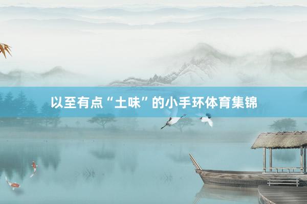 以至有点“土味”的小手环体育集锦